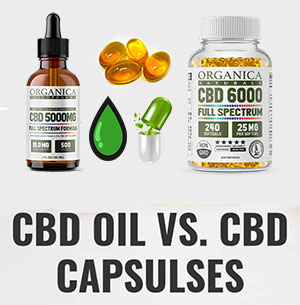CBD Oil vs Capsules