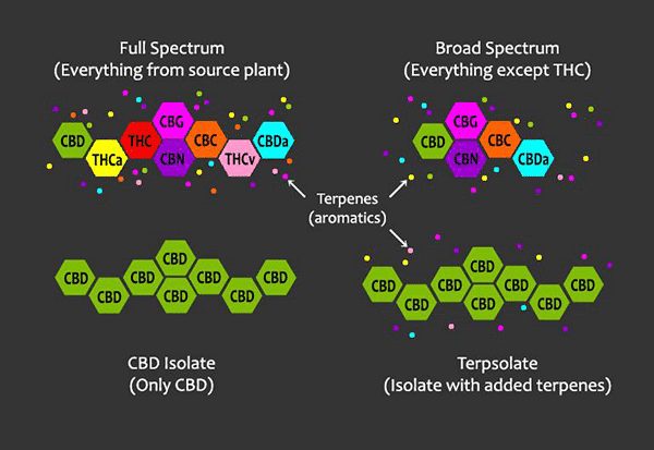 full spectrum vs CBD isolate