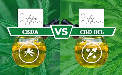 CBDA vs CBD